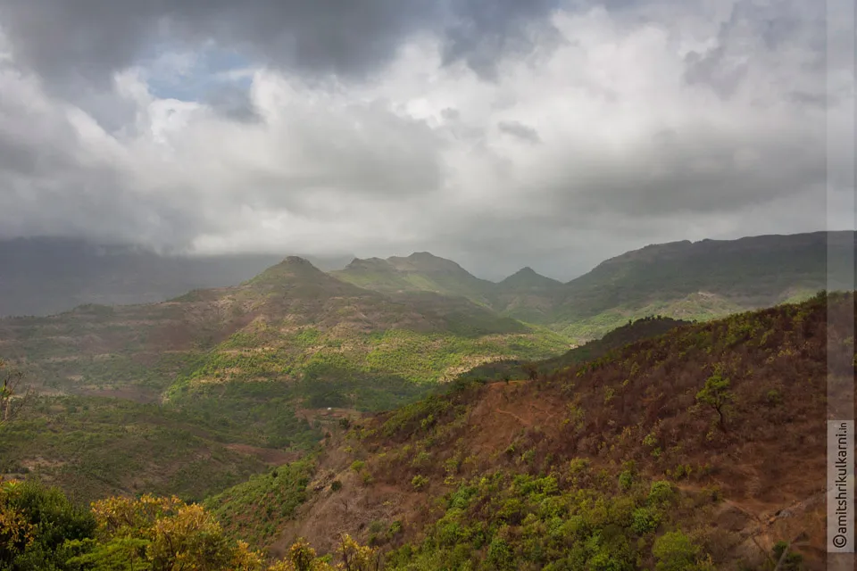 हिरडस मावळ