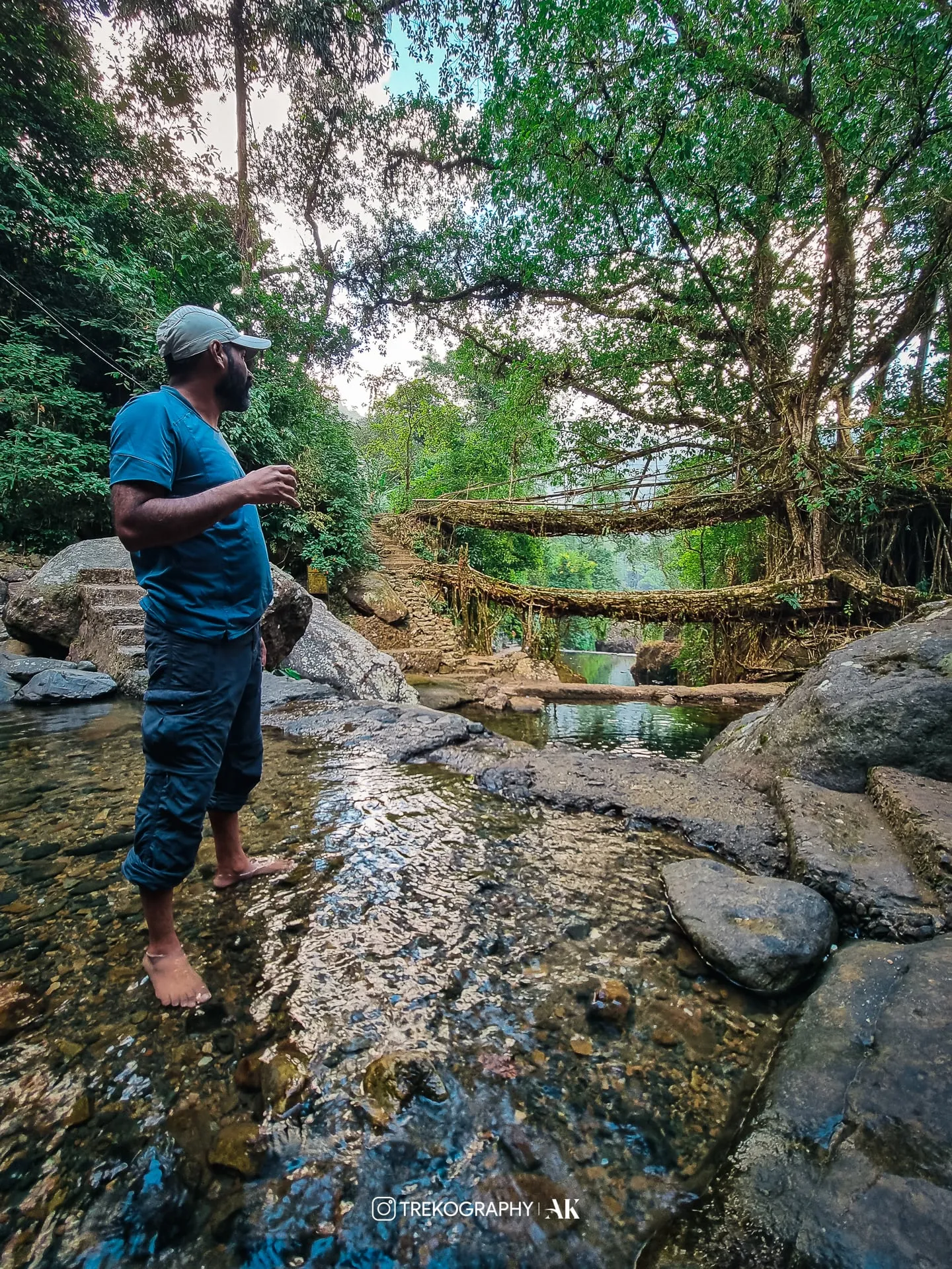 Double Decker root bridge