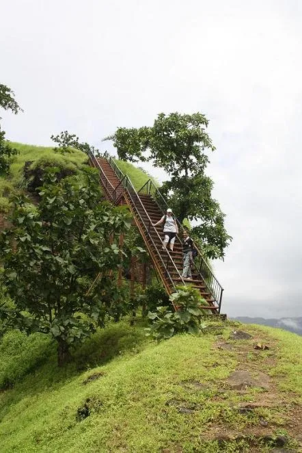 Ladder at Sudhagad