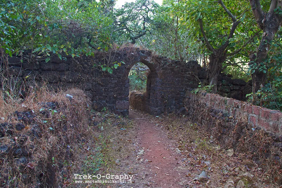 सर्जेकोट